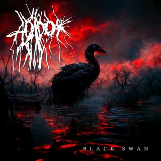 Black Swan lyrics | Boomplay Music