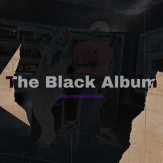 The Vlack Album