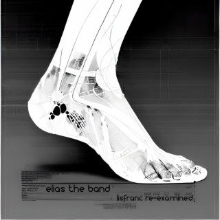 Lisfranc Re-Examined