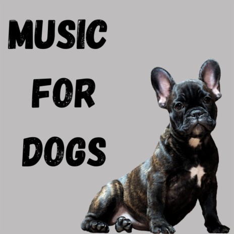 Happy Doggy ft. Music For Dogs Peace, Calm Pets Music Academy & Relaxing Puppy Music