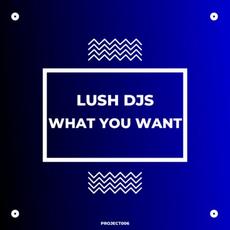 What You Want (Original Mix)