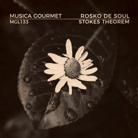 Stokes Theorem (Radio Edit) | Boomplay Music