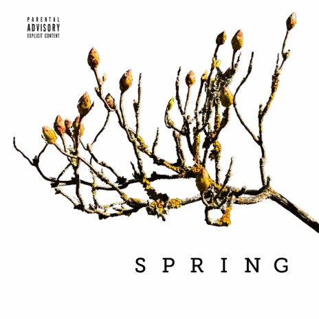 Spring | Boomplay Music