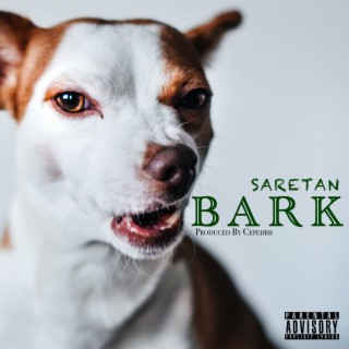 BARK (Short)