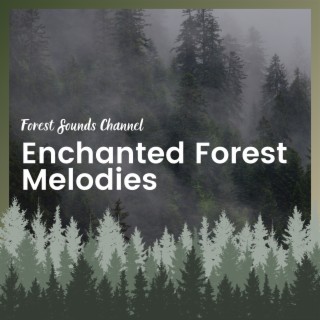 Enchanted Forest Melodies: Tranquil Bliss