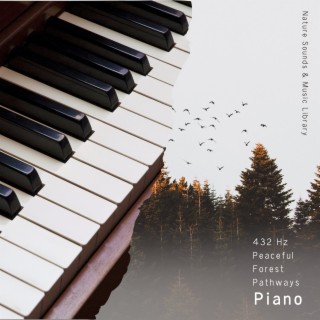 432 Hz Peaceful Forest Pathways: Piano