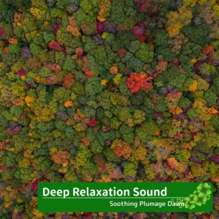 Deep Relaxation Sound