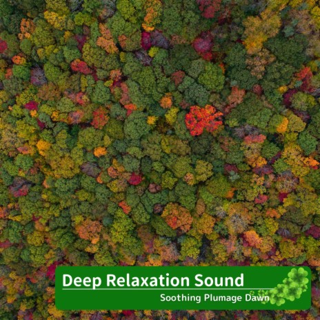 Aromas for the Peaceful Mind | Boomplay Music