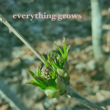 everything grows | Boomplay Music