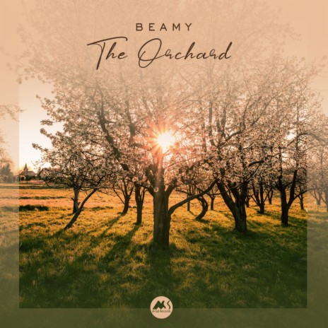 The Orchard | Boomplay Music