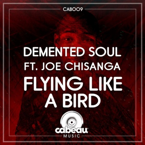 Flying Like a Bird (Original Mix) ft. Joseph Chisanga