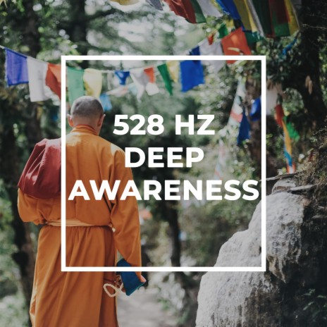 528 Hz Deep Awareness ft. Relaxing Soul Healing & Soothera | Boomplay Music