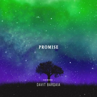 Promise