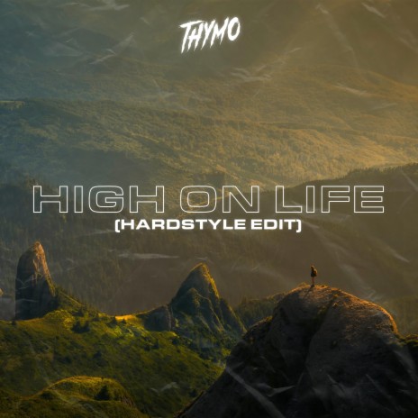 High on Life (Hardstyle Edit) | Boomplay Music