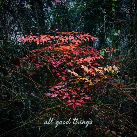 All Good Things