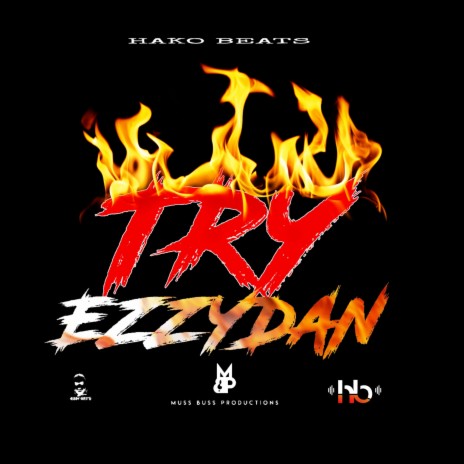 Try (By Ezzydan) | Boomplay Music