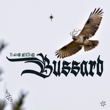 Bussard | Boomplay Music