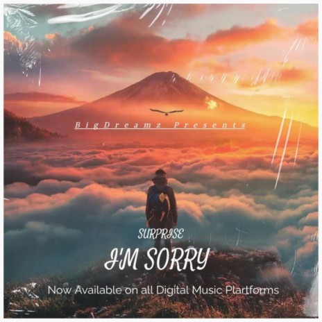 I'm Sorry | Boomplay Music