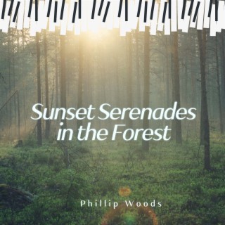 Sunset Serenades in the Forest