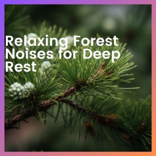 Relaxing Forest Noises for Deep Rest