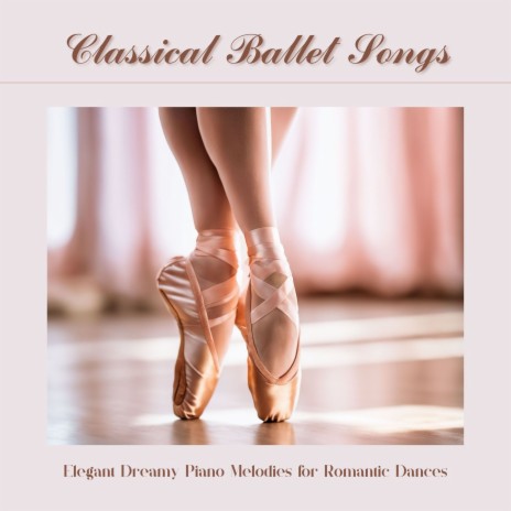 Velvet Pointe Shoes | Boomplay Music