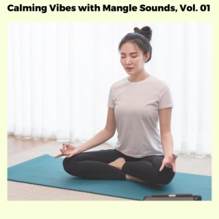 Calming Vibes with Mangle Sounds, Vol. 01