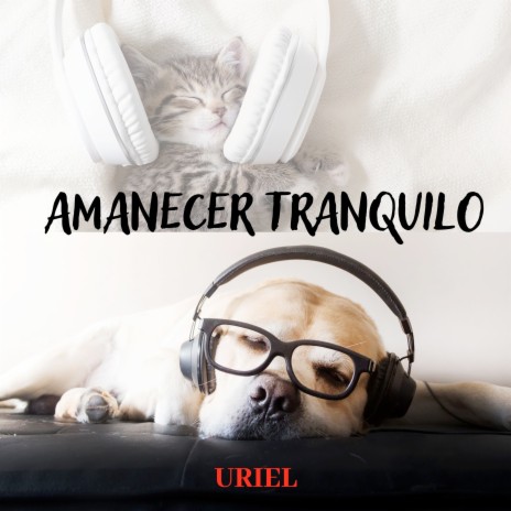 AMANECER TRANQUILO | Boomplay Music