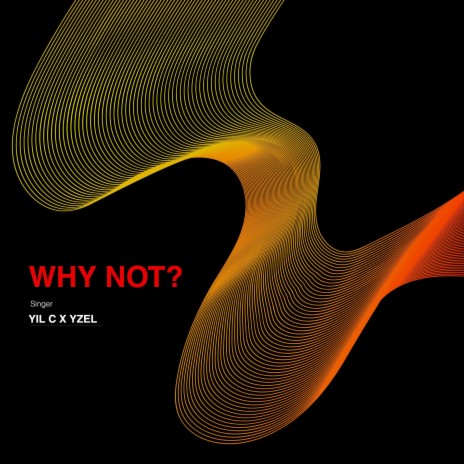 Why Not? ft. Yzel | Boomplay Music