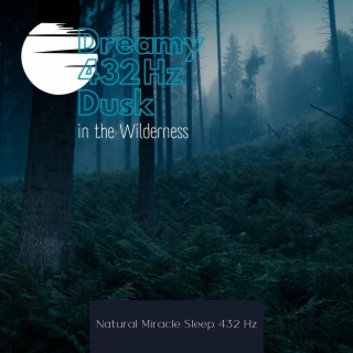 Dreamy 432 Hz Dusk in the Wilderness