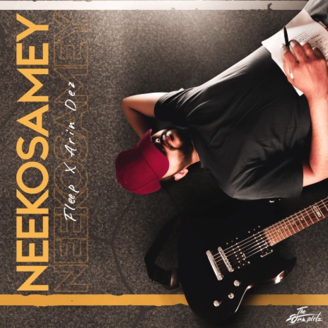 Neekosamey (feat. Arin Dez) | Boomplay Music