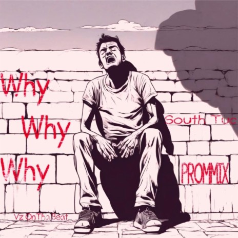 Why Why Why ft. PROMMIX | Boomplay Music