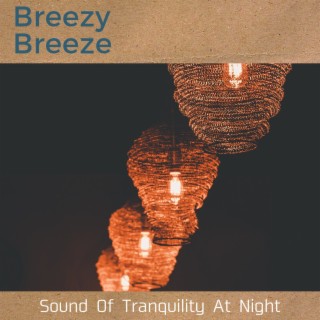 Sound of Tranquility at Night