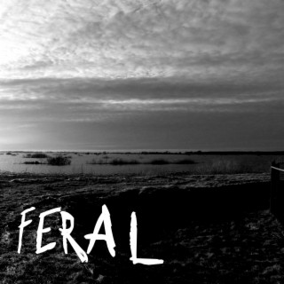 Feral