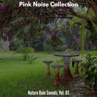 Pink Noise Collection - Nature Rain Sounds, Vol. 03