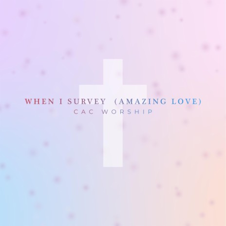 When I Survey (Amazing Love) | Boomplay Music
