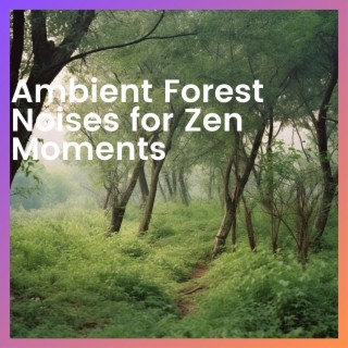 Ambient Forest Noises for Zen Moments