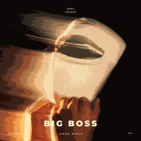 Big Boss ft. Voyage | Boomplay Music