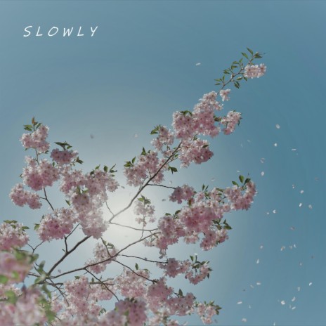slowly | Boomplay Music