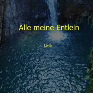 Alle meine Entlein