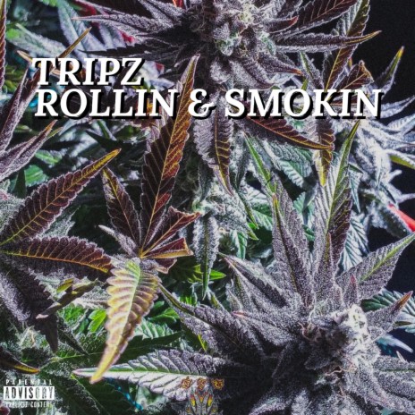 ROLLIN & SMOKIN | Boomplay Music