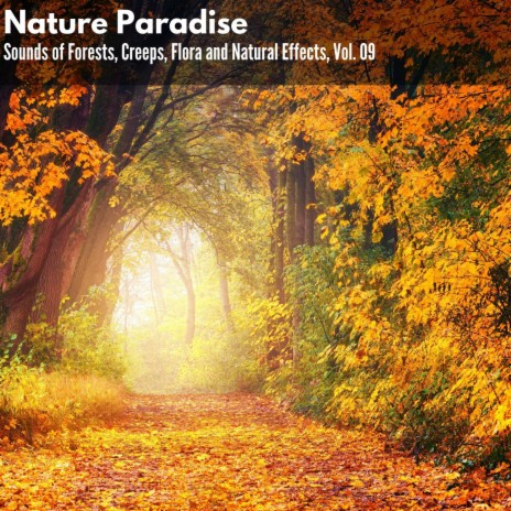 Gusty Deciduous Forest East Dawn Chorus | Boomplay Music
