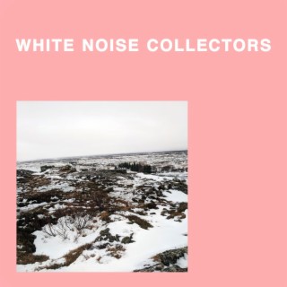 White Noise: Quiet, Delicate, Gentle and Small Sounds