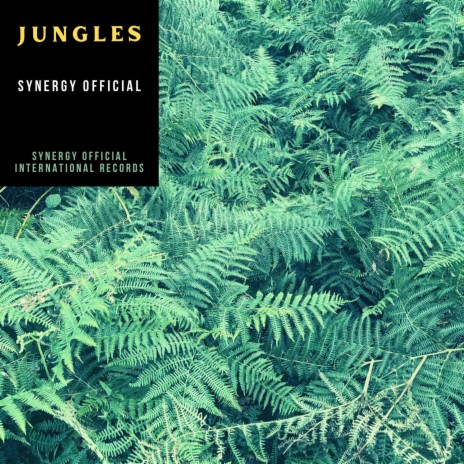 Jungles (Radio Edit) | Boomplay Music