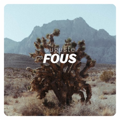 Fous (Radio Edit) | Boomplay Music