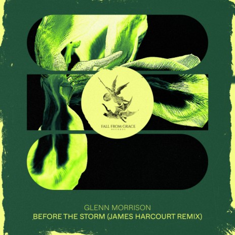 Before The Storm (James Harcourt Radio Remix)