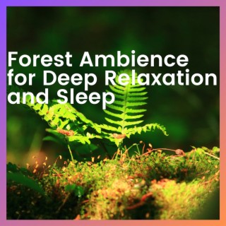 Forest Ambience for Deep Relaxation and Sleep