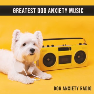 Greatest Dog Anxiety Music