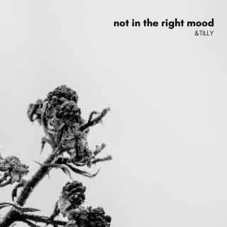 Not in the Right Mood lyrics | Boomplay Music