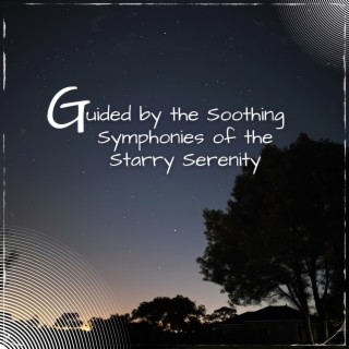 Guided by the Soothing Symphonies of the Starry Serenity