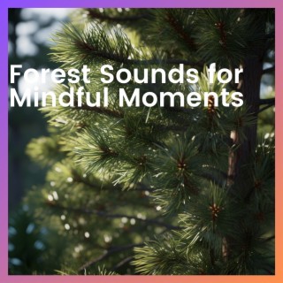 Forest Sounds for Mindful Moments